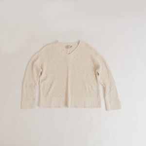 Everlane Cotton Linen V-Neck Sweater